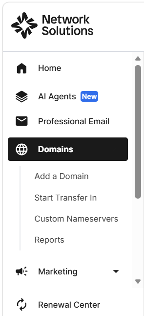Navigate to your domain management dashboard
