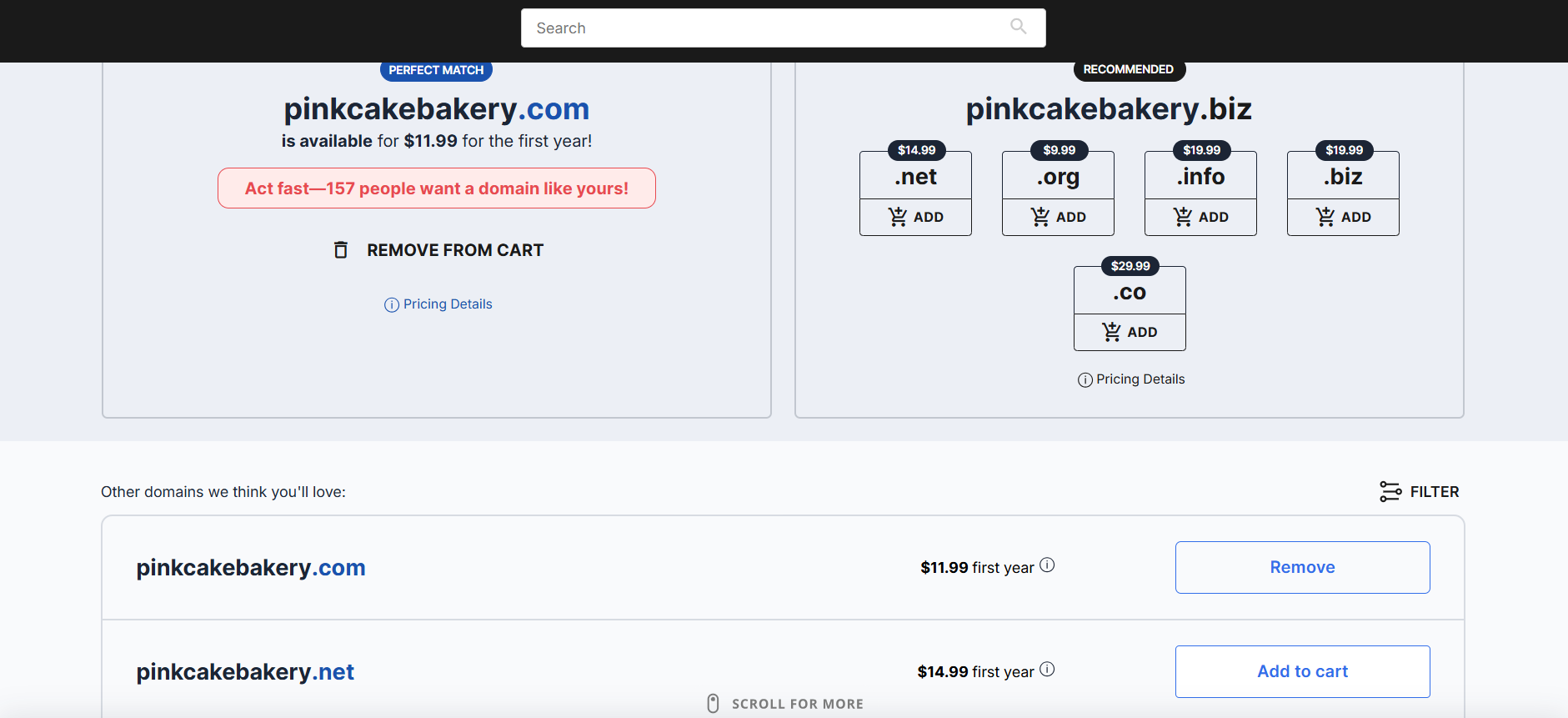 Network Solutions Domain Name Search results page