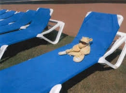 Stuffed giraffes and remarkable stories ...