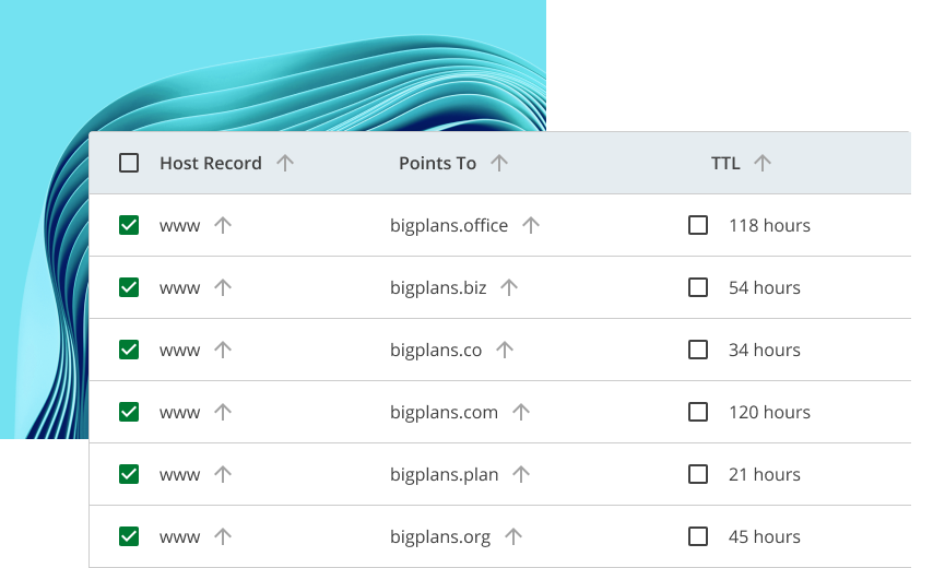 domain portfolio